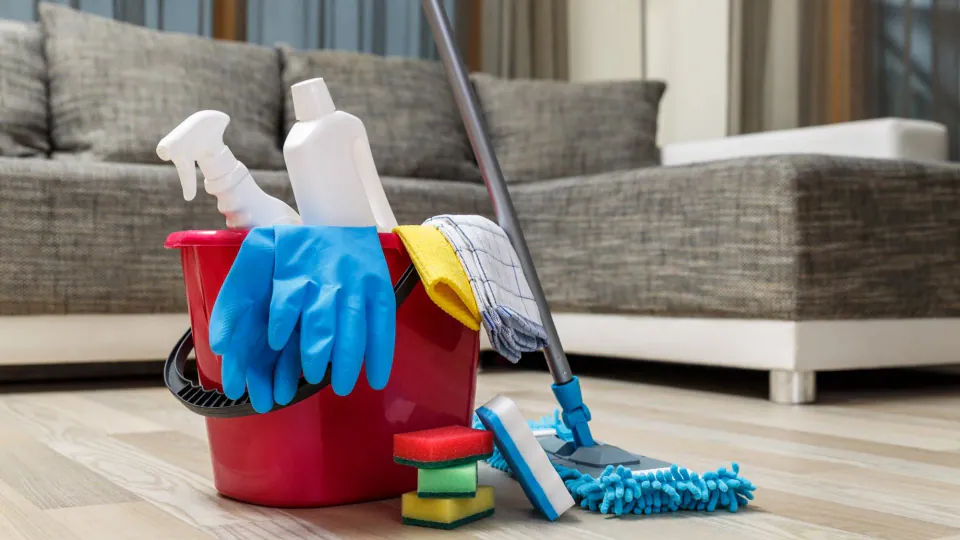 Cleaning supplies in a bright living room